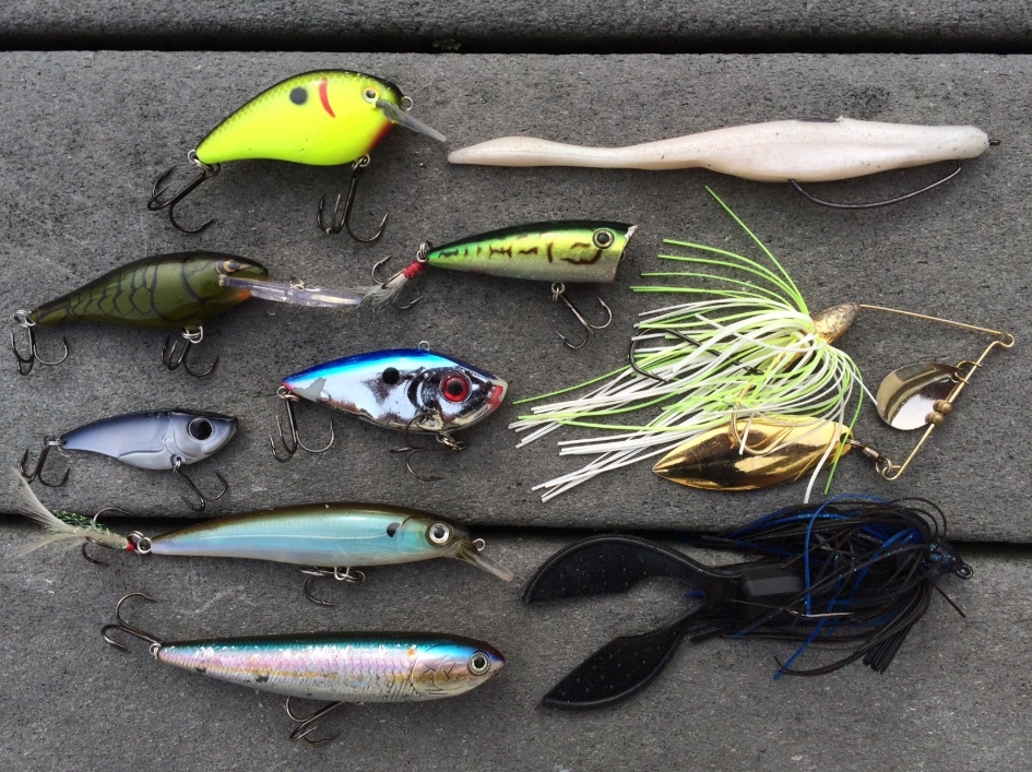 Attracting Fish