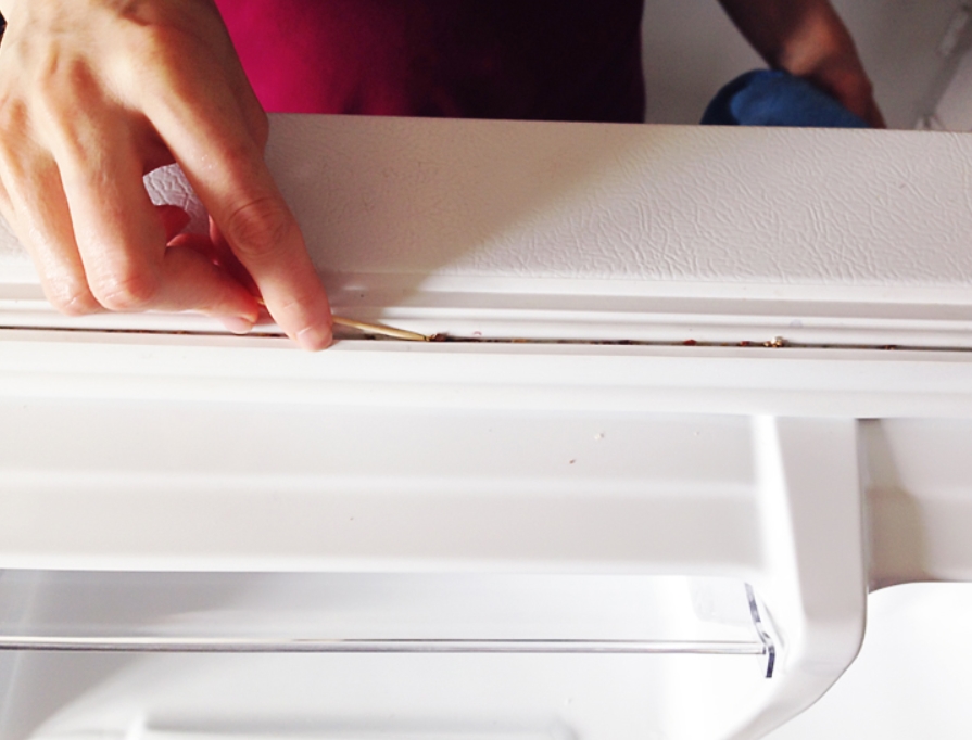 Maintaining Fridge Gasket