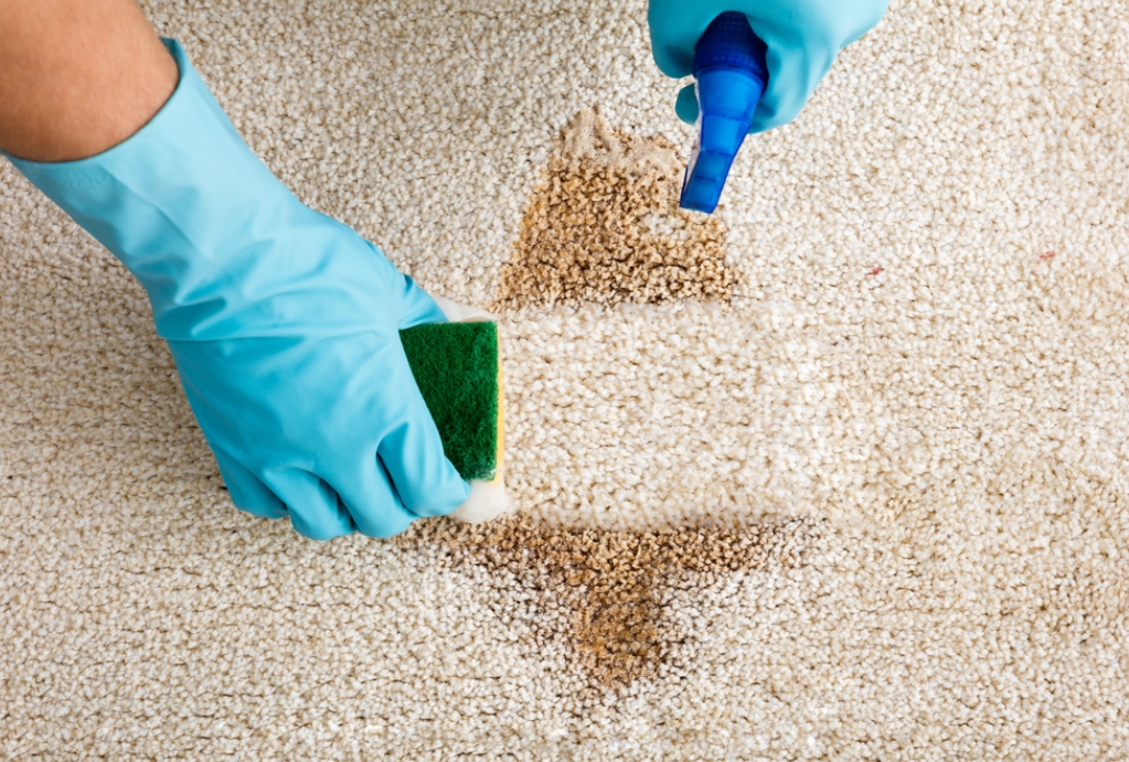 Removing Carpet Stains