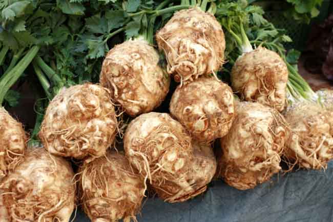 Celery Root