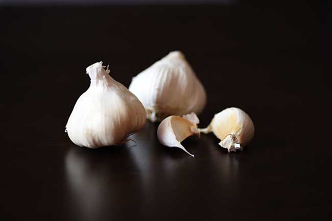 Garlic