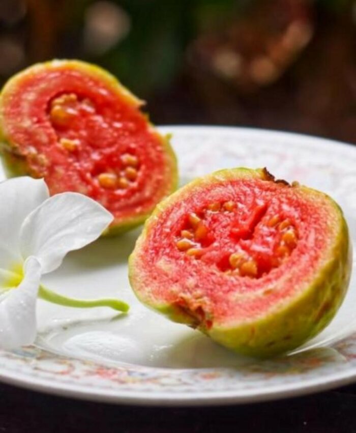 Guava fruit