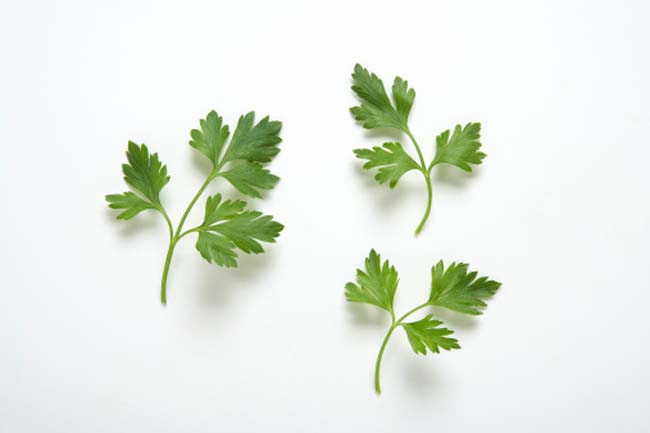 Parsley