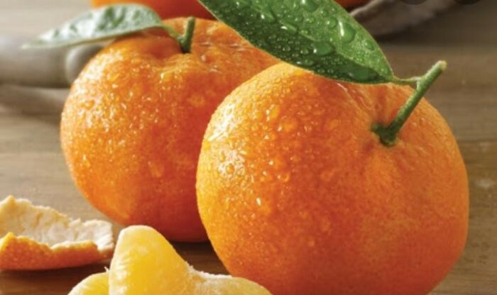 tangerines